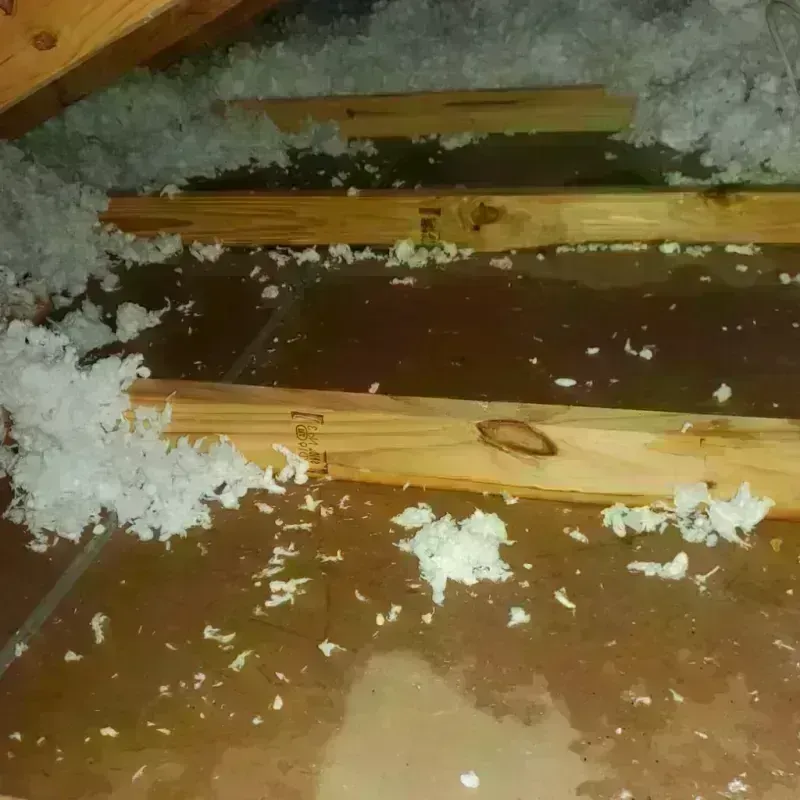 Attic Water Damage in Belle Plaine, MN