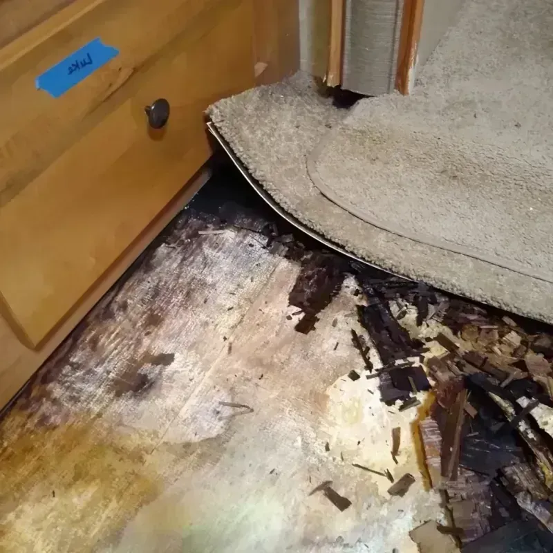 Best Wood Floor Water Damage Service in Belle Plaine, MN